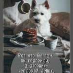 Александр, 62 года